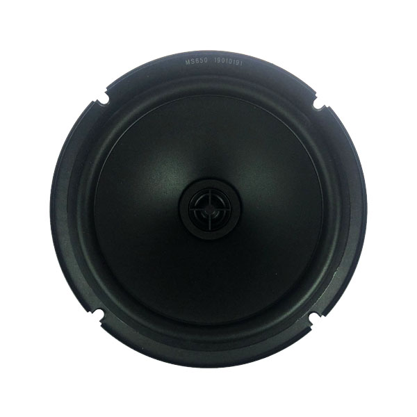 Subwoofer 2024 for ms650